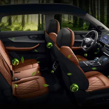 tiggo8promax-old %2
